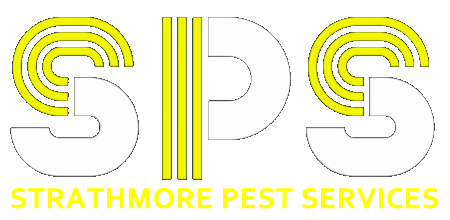 Pest Control Dundee - Pest control Angus - Strathmore pest services - Strathmore Pest Control - wasp control Dundee